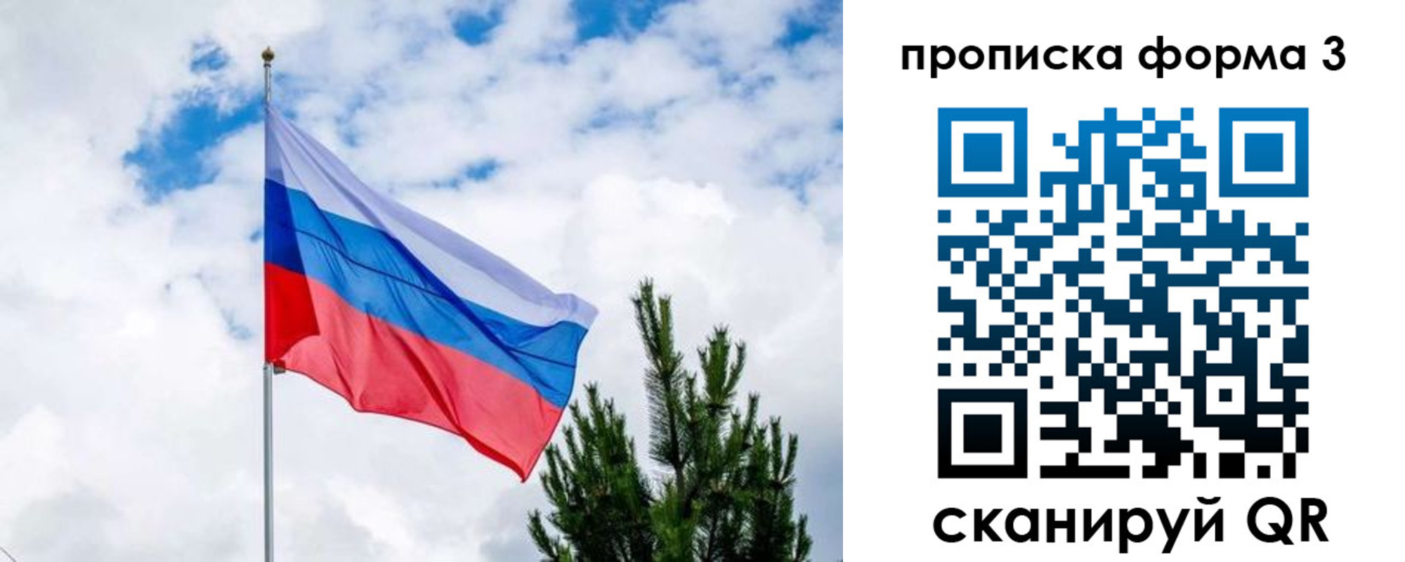 прописка для школы в Малой Вишере